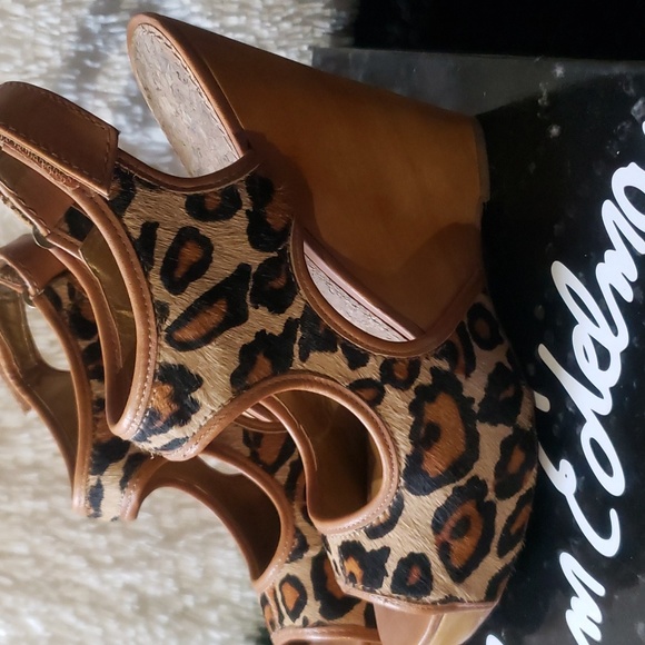 Ladies Shoes - Picture 6 of 16